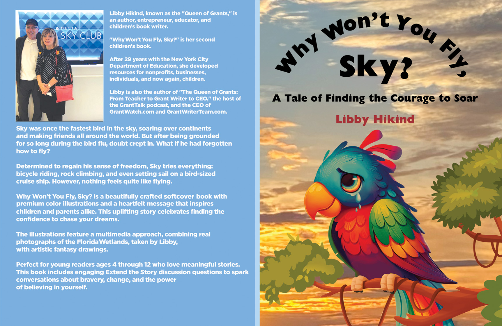 Why Won't You Fly, Sky
